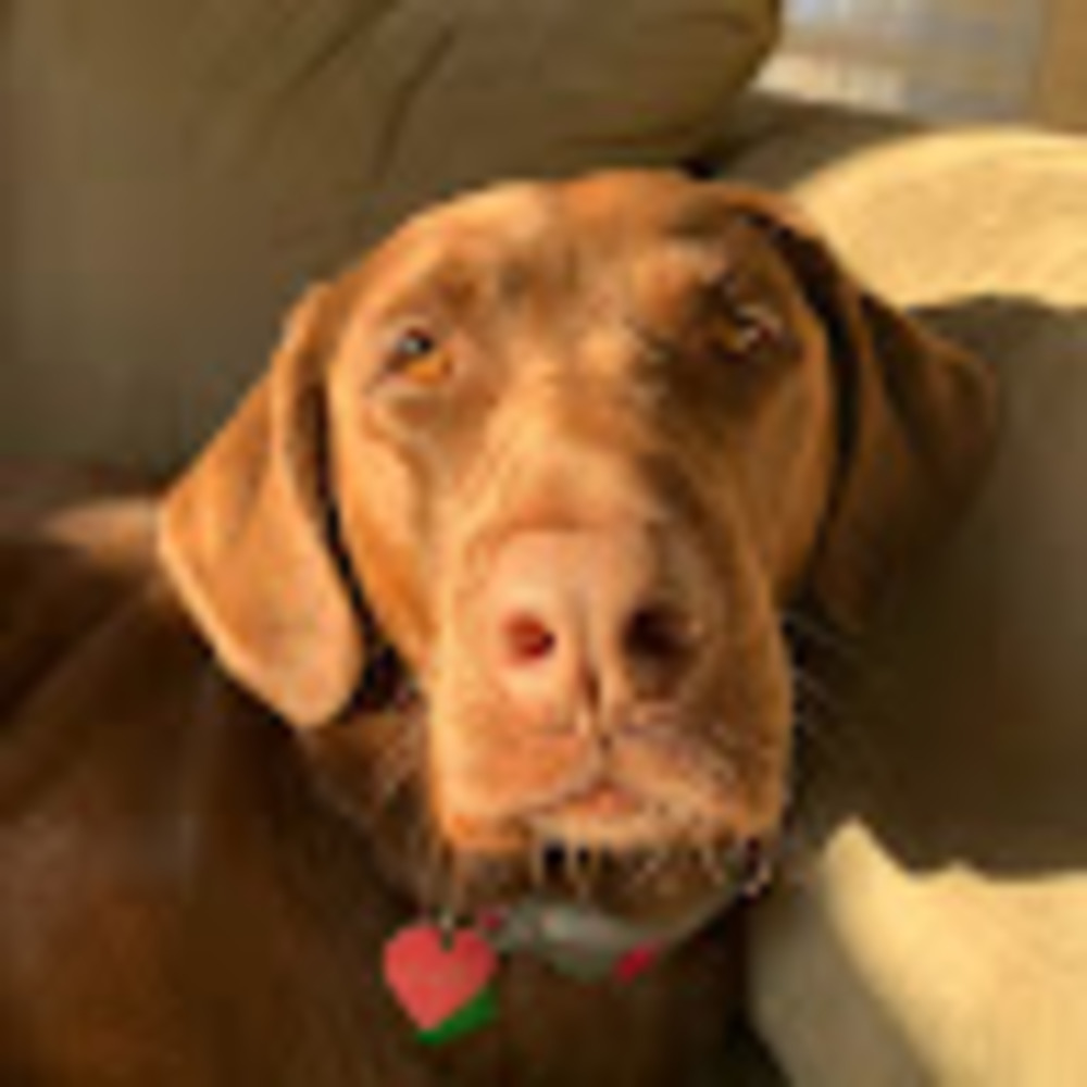 Meet your Posher, Halle